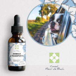 Fleurs de Bach pour le mal des transports des animaux- Voyagez serein
