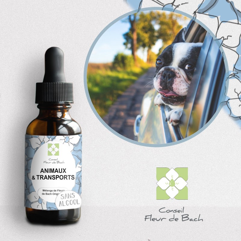 Fleurs de Bach pour le mal des transports des animaux- Voyagez serein Fleurs de Bach pour le mal des transports des animaux- Voyagez serein