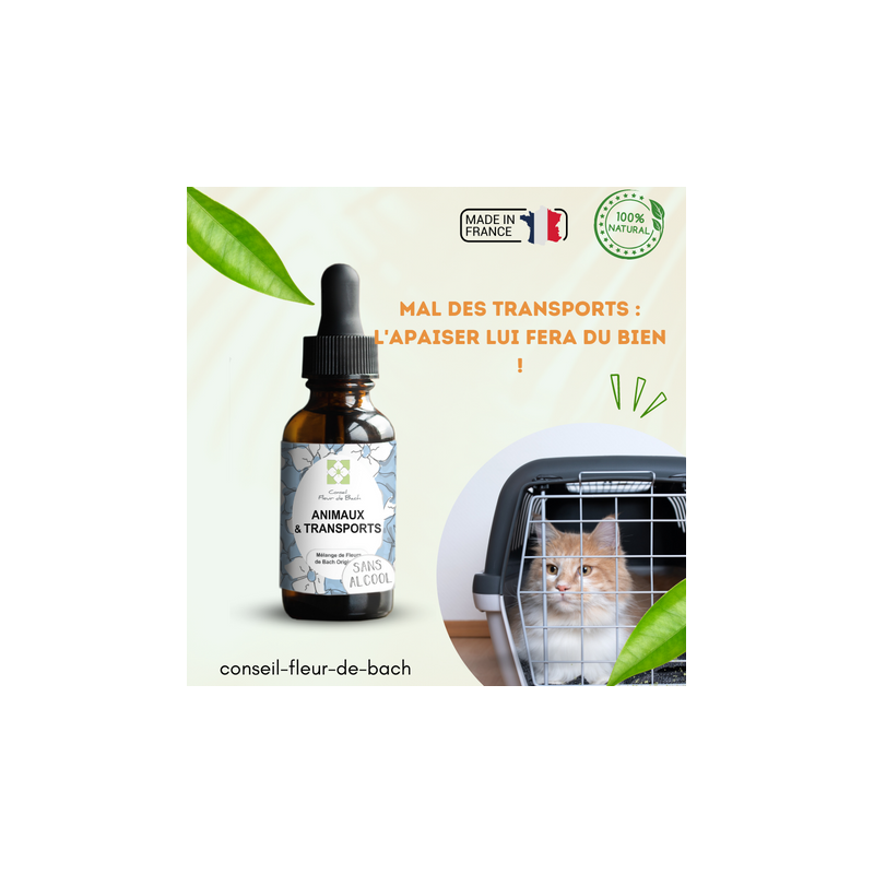 Fleurs de Bach pour le mal des transports des animaux- Voyagez serein