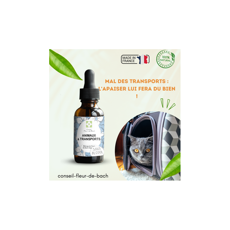Fleurs de Bach pour le mal des transports des animaux- Voyagez serein