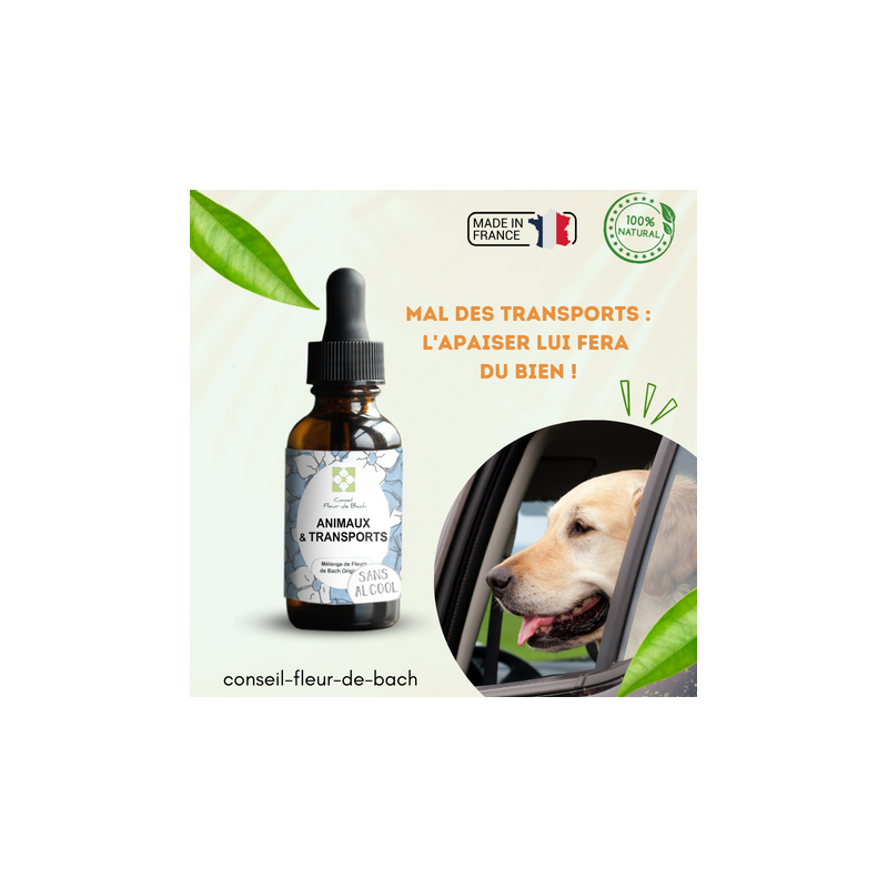 Fleurs de Bach pour le mal des transports des animaux- Voyagez serein