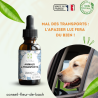 Fleurs de Bach pour le mal des transports des animaux- Voyagez serein
