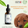 Fleurs de Bach pour animaux triste - Comment les aider naturellement !!!