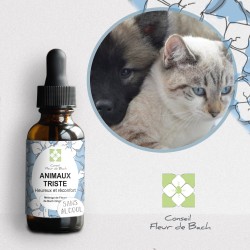 Fleurs de Bach pour animaux triste - Comment les aider naturellement !!!