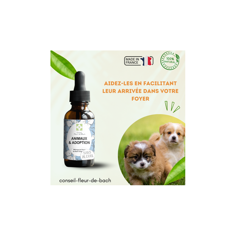 Fleurs de Bach Animaux Adoption Sans Alcool - Un mélange efficace pour son bien-être