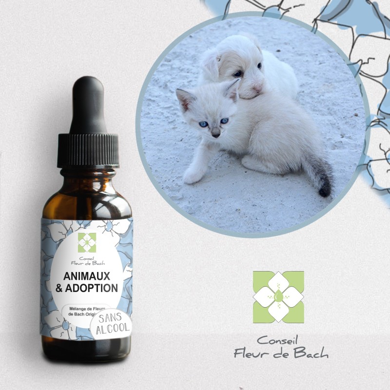 Fleurs de Bach Animaux Adoption Sans Alcool - Un mélange efficace pour son bien-être Fleurs de Bach Animaux Adoption Sans Alcool - Un mélange efficace pour son bien-être