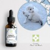Fleurs de Bach Animaux Adoption Sans Alcool - Un mélange efficace pour son bien-être