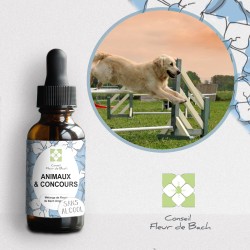 Fleurs de Bach Animaux et Concours Sans Alcool - Un produit naturel