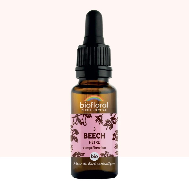 Fleur de Bach Beech Originale - 3 conseil-fleur-de-bach Fleur de Bach Beech Originale - 3 conseil-fleur-de-bach