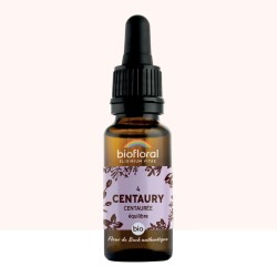 Fleur de Bach Centaury Originale - 04- conseil-fleur-de-bach