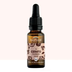 Fleur de Bach Cerato Originale - 5 conseil-fleur-de-bach