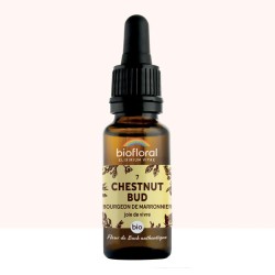 Fleur de Bach Chestnut bud Originale - 7 conseil-fleur-de-bach