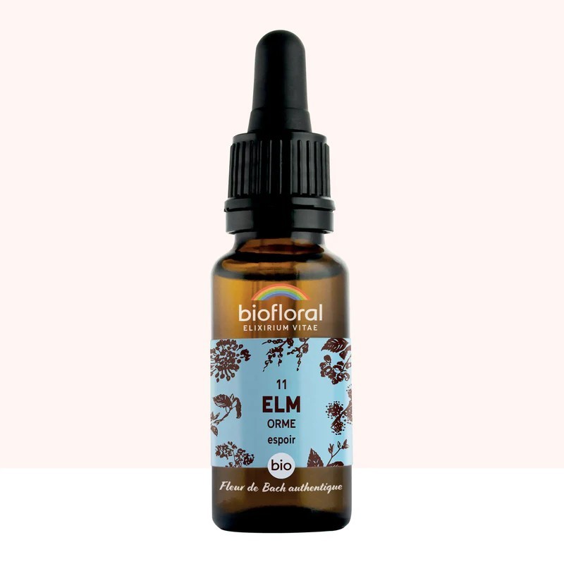 Fleur de Bach Elm Originale - 11 conseil-fleur-de-bach Fleur de Bach Elm Originale - 11 conseil-fleur-de-bach