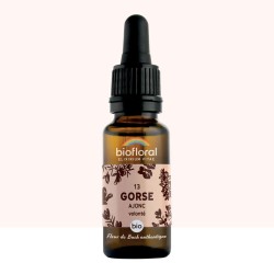 Fleur de Bach Gorse Originale - 13 conseil-fleur-de-bach