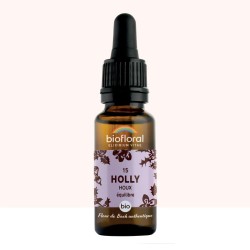 Fleur de Bach Holly Originale - 15 conseil-fleur-de-bach