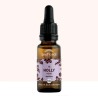 Fleur de Bach Holly Originale - 15 conseil-fleur-de-bach