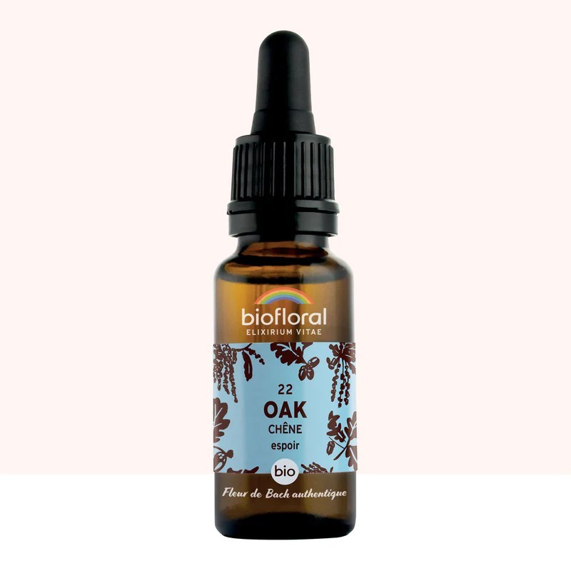 Fleur de Bach Oak Originale - 22 conseil-fleur-de-bach Fleur de Bach Oak Originale - 22 conseil-fleur-de-bach