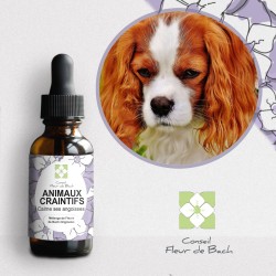 Fleurs de Bach calment et rassurent les Animaux Craintifs-Peureux