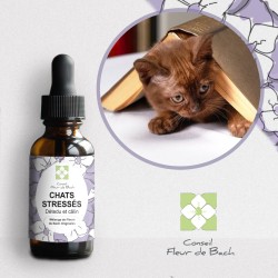 Fleurs de Bach Chat Stressé un mélange efficace pour l'apaiser