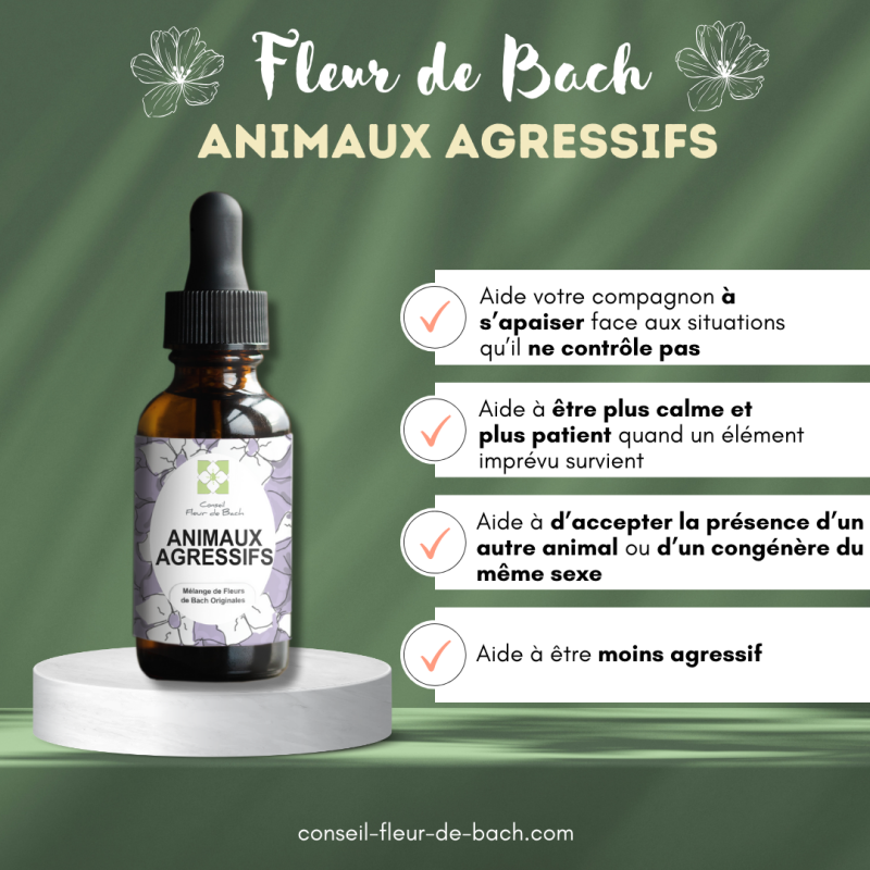 Fleurs de Bach Animaux Agressifs un mélange efficace pour son bien-être