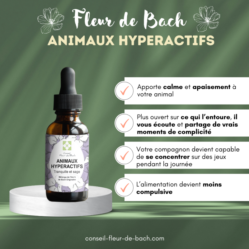 Fleurs de Bach Animaux Hyperactifs un mélange Efficace et Naturel