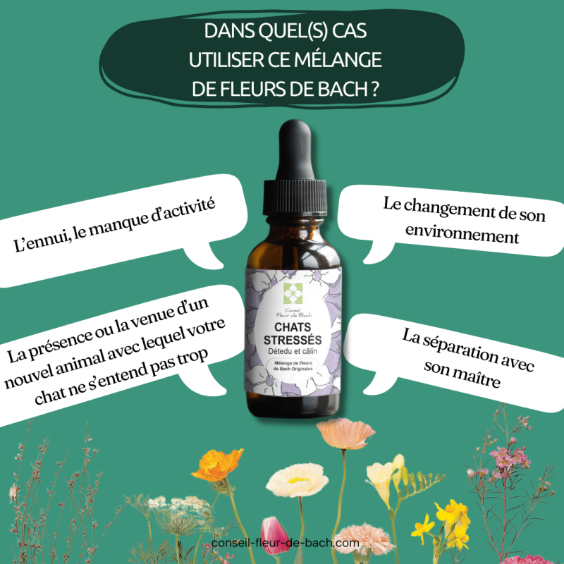 Fleurs de Bach Chat Stressé un mélange efficace pour l'apaiser