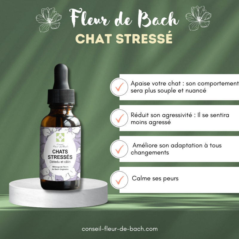 Fleurs de Bach Chat Stressé un mélange efficace pour l'apaiser