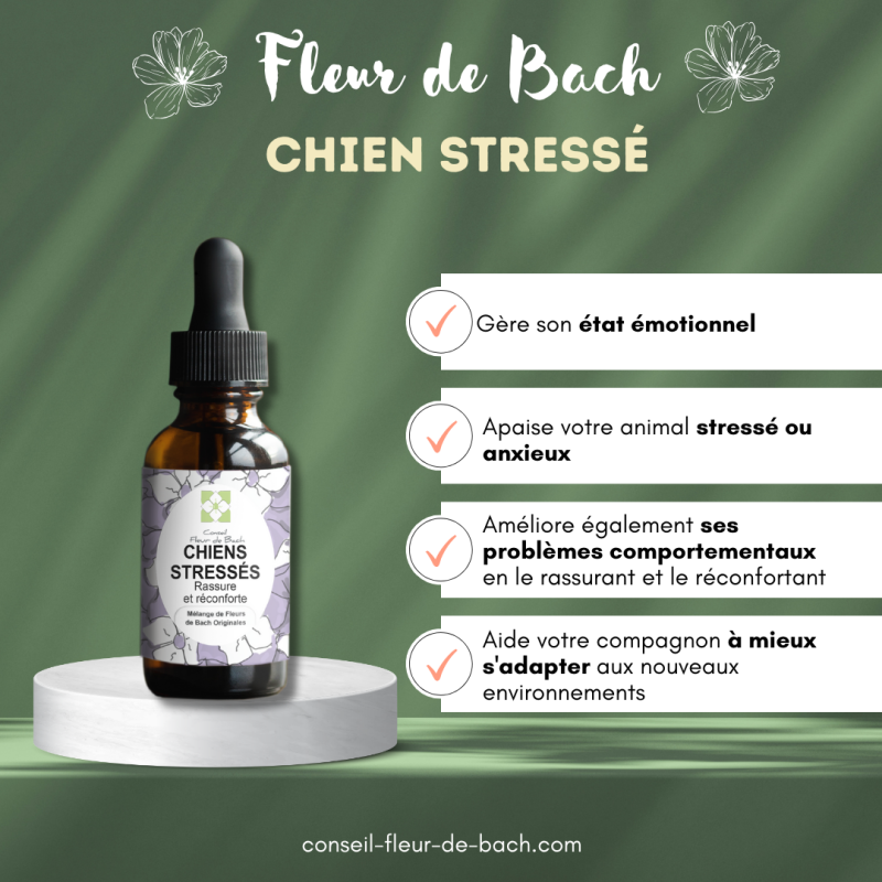 Fleurs de Bach Chien Stressé un mélange naturel pour le reconforter