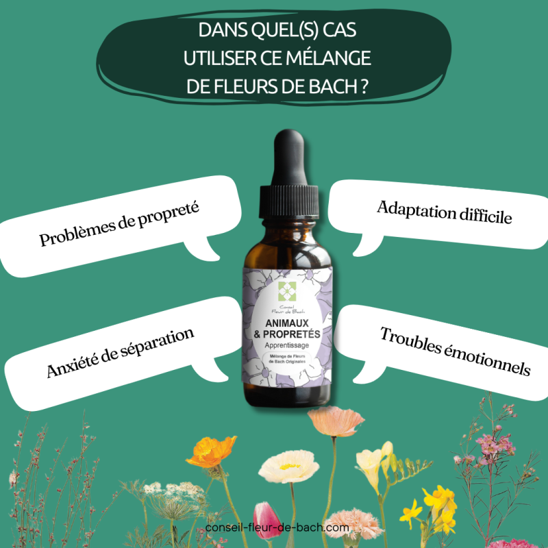 Fleurs de Bach Animaux et Propreté un moyen naturel pour le rendre Propre