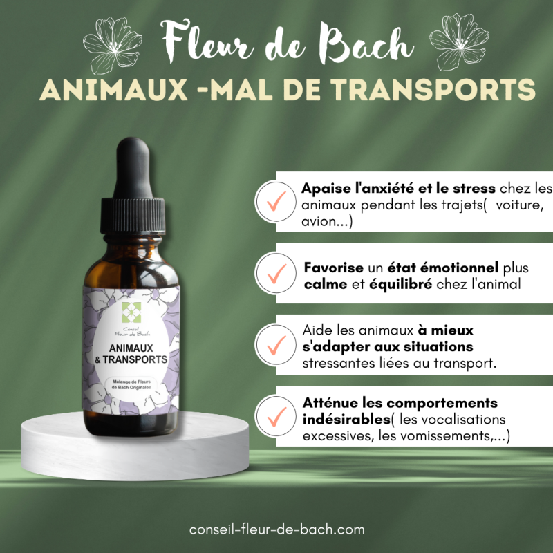 Fleurs de Bach pour le mal des transports des animaux- Voyagez serein