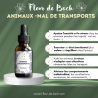 Fleurs de Bach pour le mal des transports des animaux- Voyagez serein