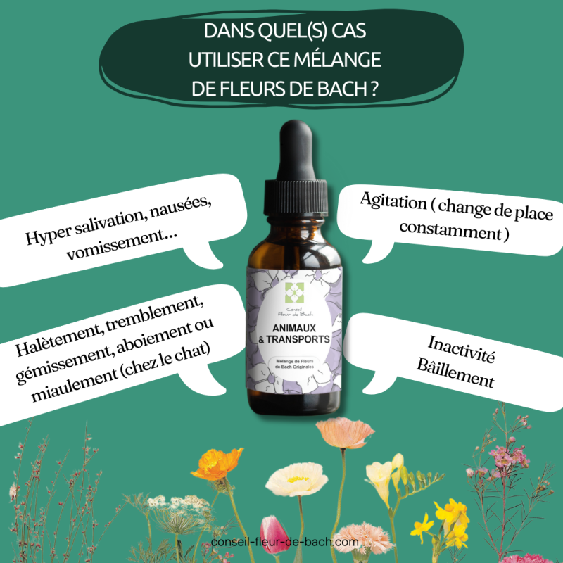 Fleurs de Bach pour le mal des transports des animaux- Voyagez serein