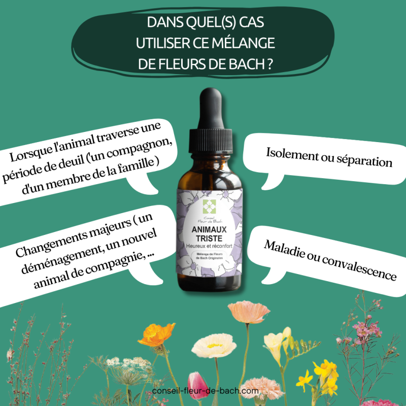 Fleurs de Bach pour animaux triste - Comment les aider naturellement