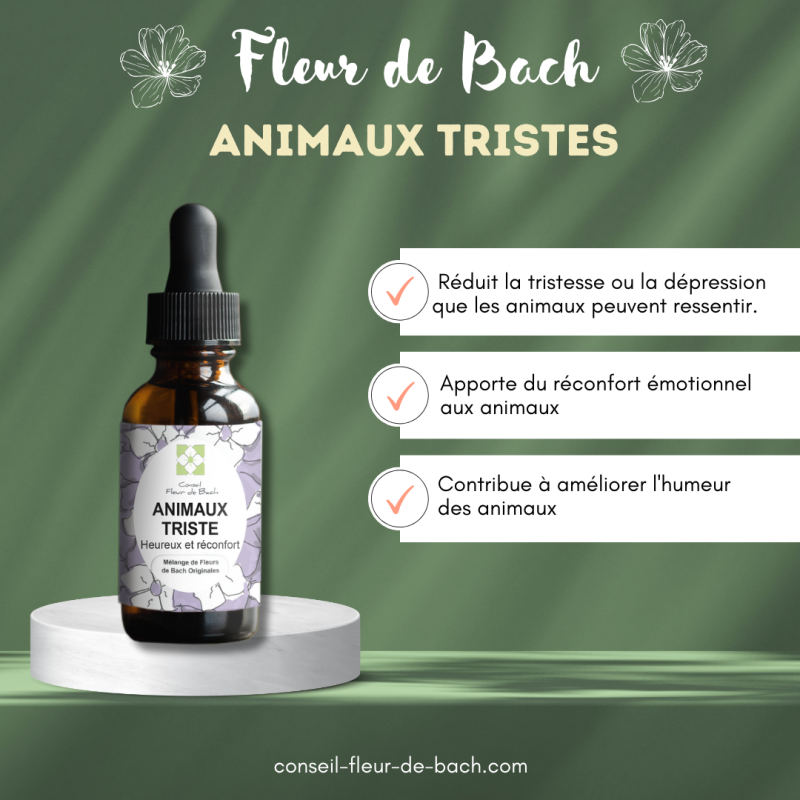 Fleurs de Bach pour animaux triste - Comment les aider naturellement