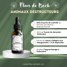 Fleurs de Bach Animaux Destructeurs