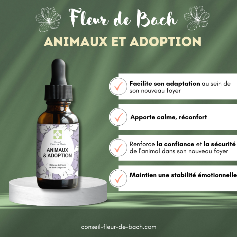 Fleurs de Bach Animaux Adoption un mélange efficace pour son bien-être