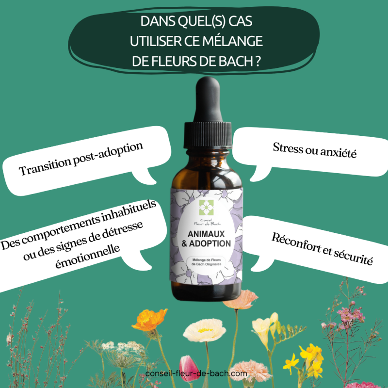 Fleurs de Bach Animaux Adoption un mélange efficace pour son bien-être