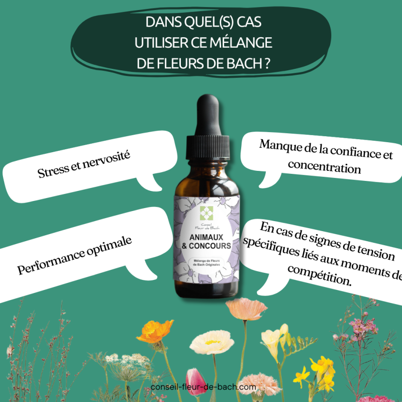 Fleurs de Bach Animaux et Concours