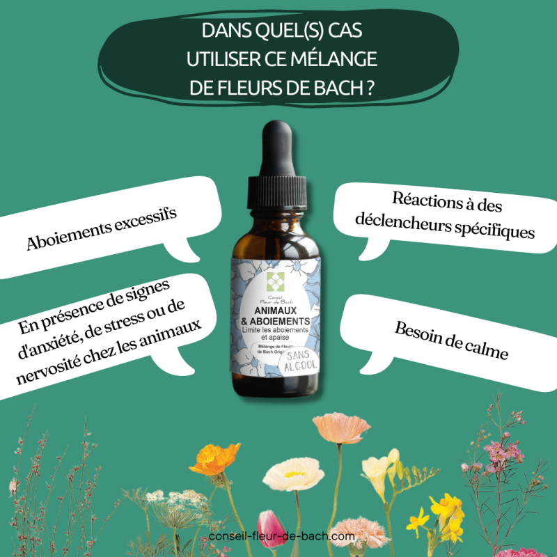 Mélange Fleurs de Bach Aboiements Excessifs SANS ALCOOL