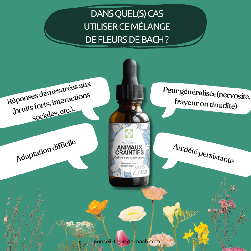 Fleurs de Bach calment et rassurent les Animaux Craintifs-Peureux