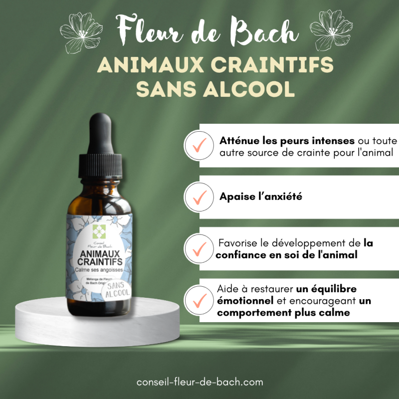 Fleurs de Bach calment et rassurent les Animaux Craintifs-Peureux