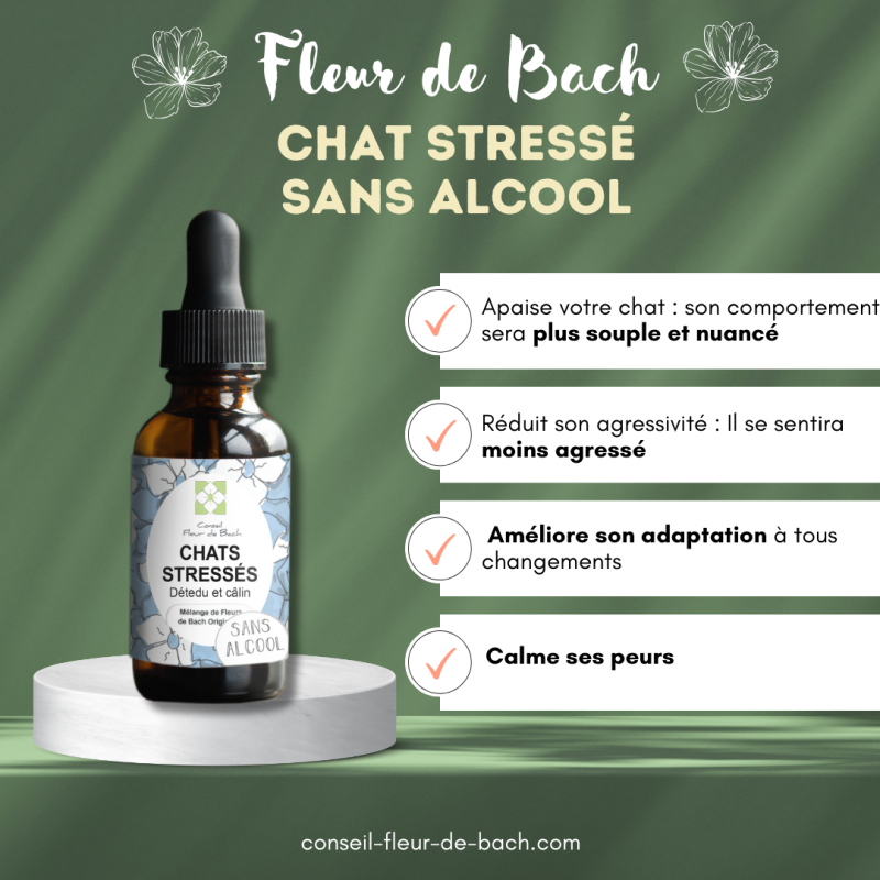 Fleurs de Bach Chat Stressé Sans Alcool