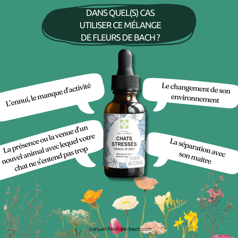 Fleurs de Bach Chat Stressé Sans Alcool