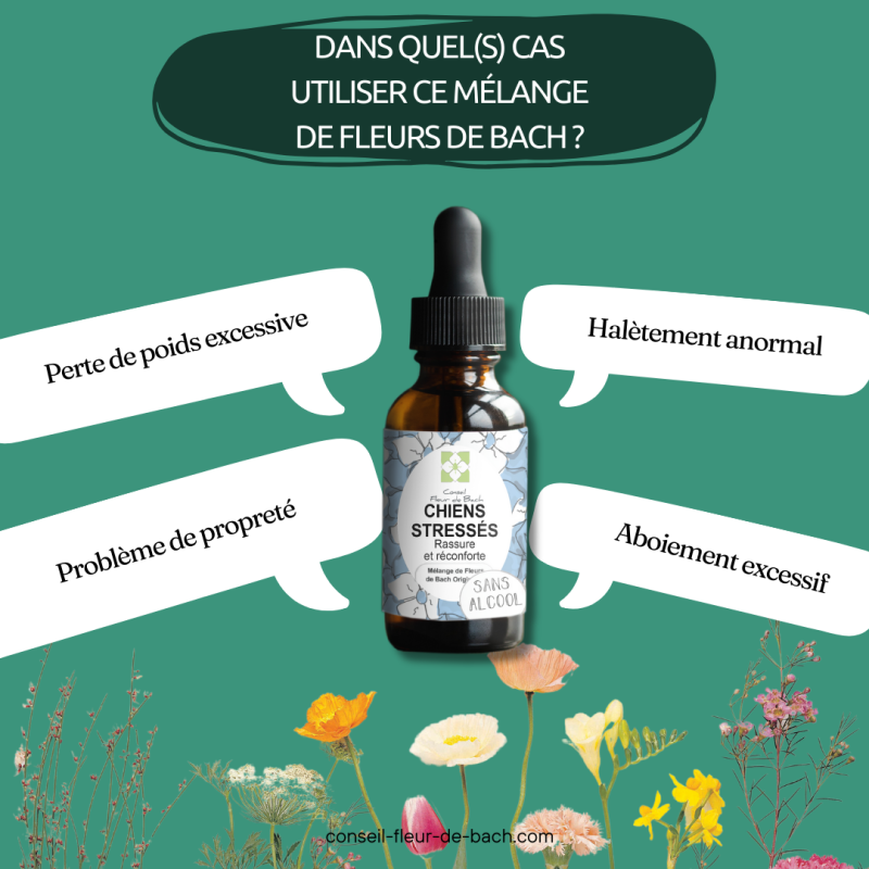 Fleurs de Bach Chien Stressé un mélange naturel pour le reconforter