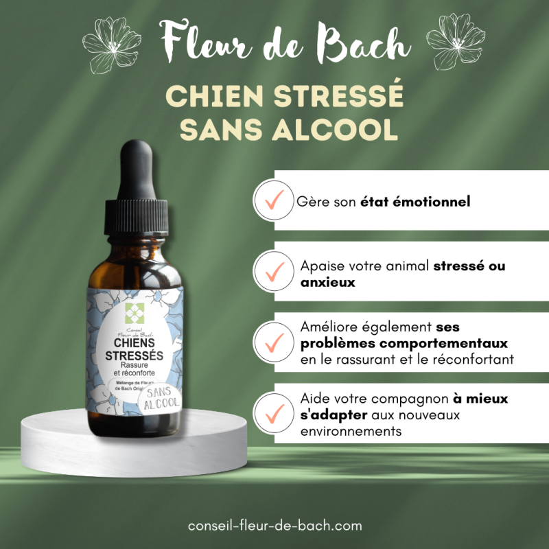 Fleurs de Bach Chien Stressé un mélange naturel pour le reconforter