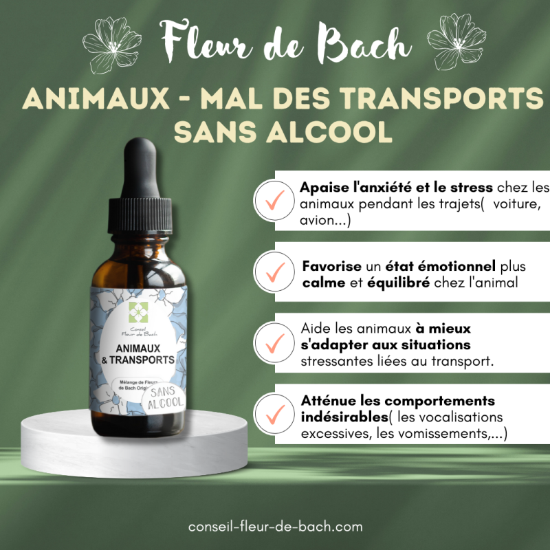 Fleurs de Bach pour le mal des transports des animaux- Voyagez serein