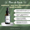 Fleurs de Bach pour le mal des transports des animaux- Voyagez serein