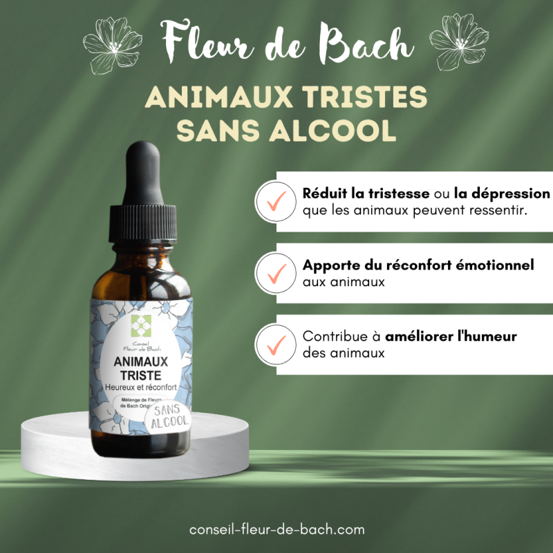 Fleurs de Bach pour animaux triste - Comment les aider naturellement !!!