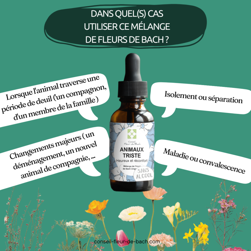 Fleurs de Bach pour animaux triste - Comment les aider naturellement !!!