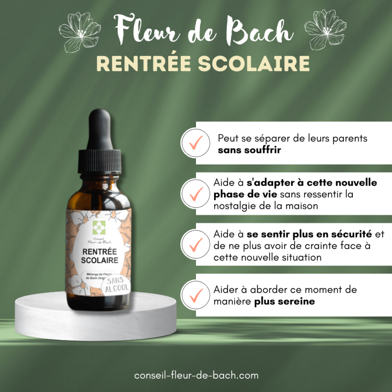 Fleurs de Bach Rentrée Scolaire pour gérer la rentrée des classes sereinement